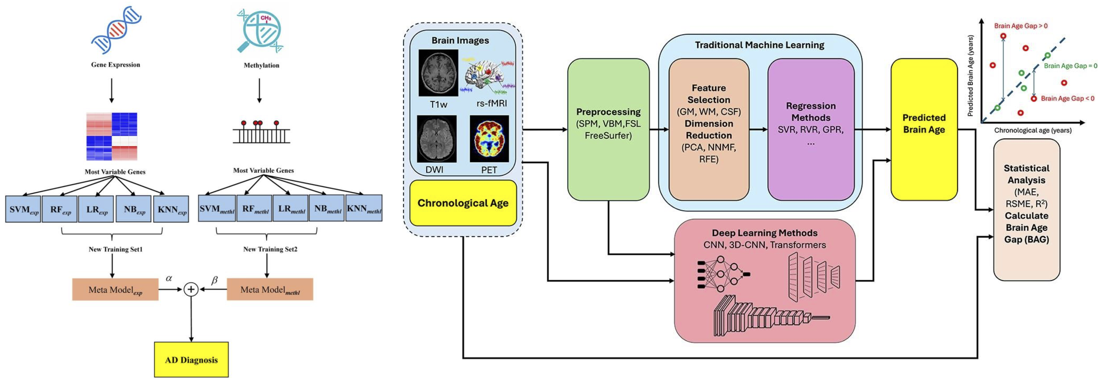 Artificial intelligence and machine learning for Alzheimer s disease